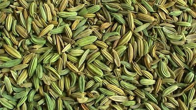 لا تغفليه.. الشمر جندي مجهول لزيادة حليب الأم