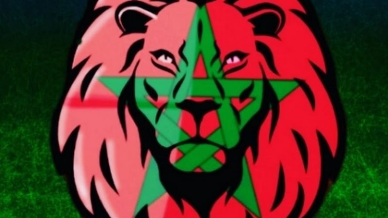 هير نيوز