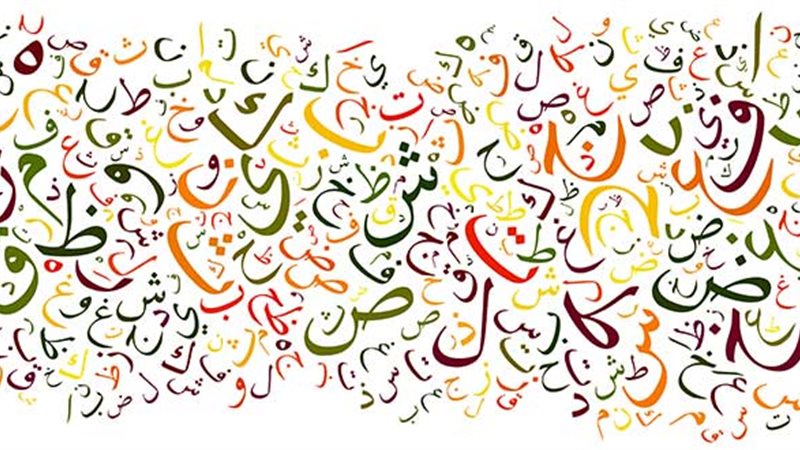 هير نيوز