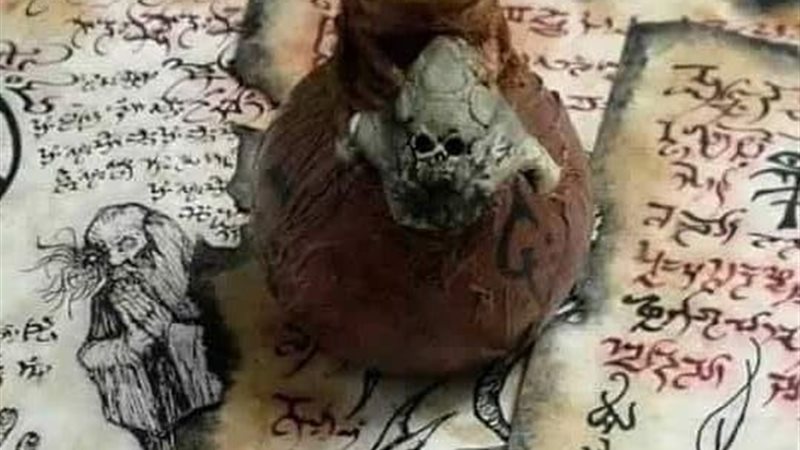 هير نيوز