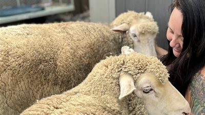 خبيرة تجميل تتخلى عن عملها من أجل الأبقار والماعز