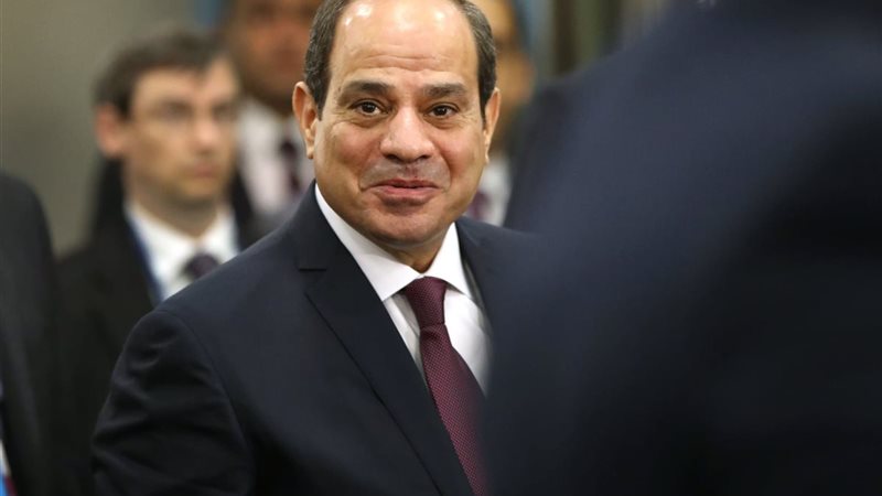هير نيوز