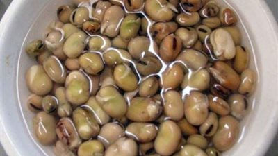 بعد أرجل الفراخ.. القومي للتغذية يرشح «الفول النابت» كبديل بروتيني رخيص