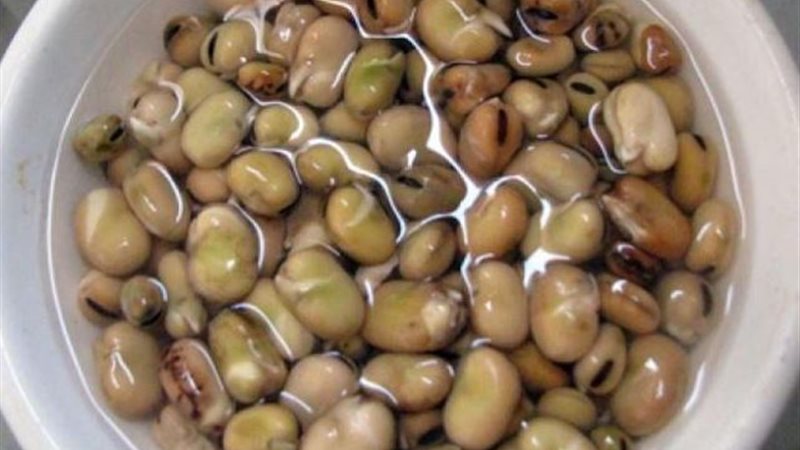 هير نيوز