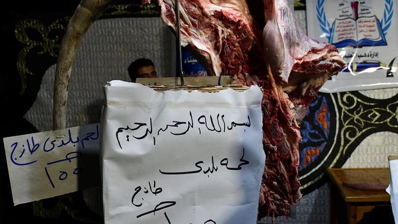 هير نيوز