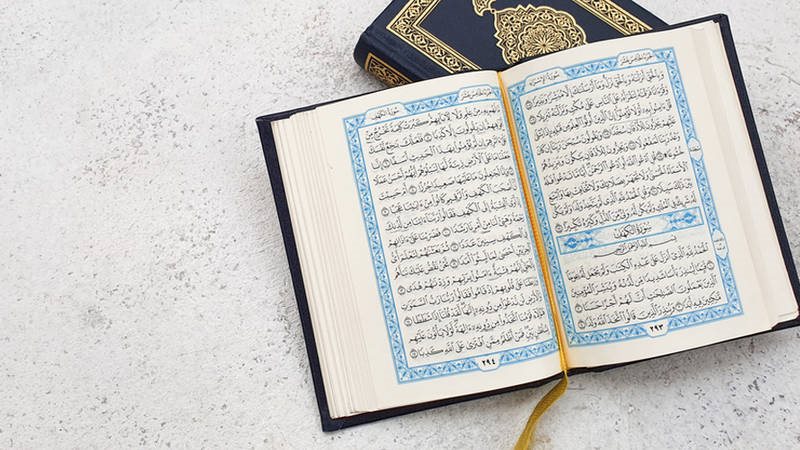 هير نيوز