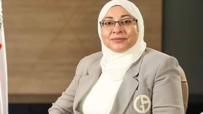 المهندسة جيهان عبد