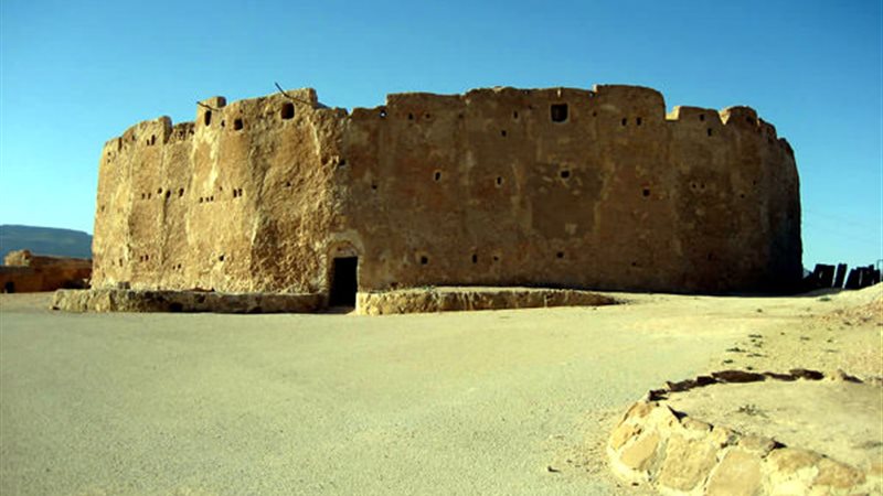 هير نيوز