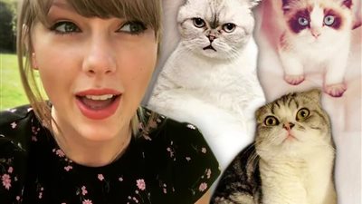 القطة المليونيرة| تُقدر ثروتها بـ97 مليون دولار «ظهرت في الإعلانات والفيديو كليب»