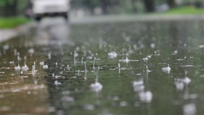 هل يجوز التبرك بماء الأمطار؟ المفتي يجيب