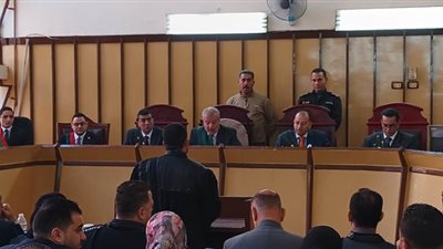 «من أول جلسة» إحالة أوراق قاتلة والدتها بمساعدة عشيقها في بورسعيد للمفتي 