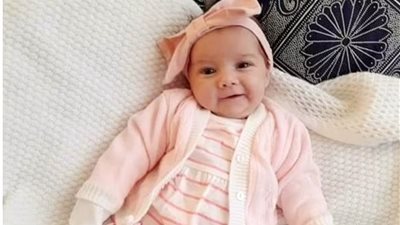 كلب يقتل رضيعة بريطانية بطريقة مأساوية «ما القصة؟»