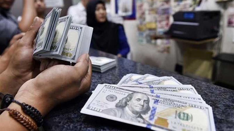 سعر الدولار اليوم
