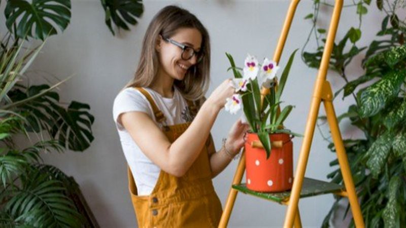 تعرفي على طريقة حفظ