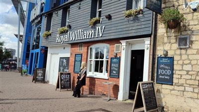 «قنبلة الصراصير» طباخ ينتقم من صاحب المطعم بطريقة غريبة