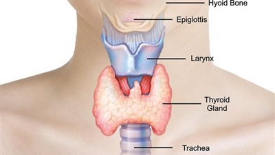 أشياء تنذرك بإصابة طفلك بقصور الغدة الدرقية الخلقي