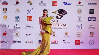 بالصور| أبرز اطلالات النجمات في حفل افتتاح مهرجان الأقصر للسينما الأفريقية