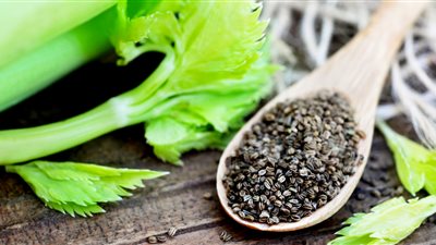 دراسة جديدة: الكرفس يساعد في علاج السكتات الدماغية