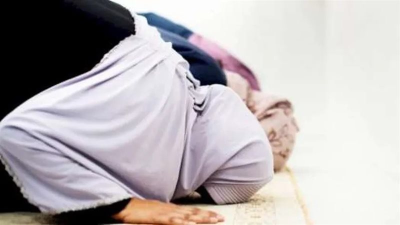 هير نيوز