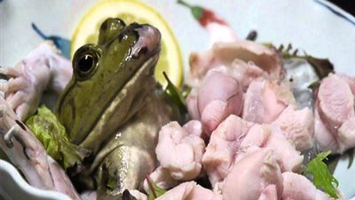 «المش بالدود»| حيوانات وحشرات يأكلها البشر حية (فيديو)