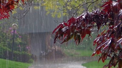 منار غانم تحذر من حالة الطقس اليوم