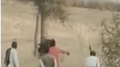 «قطع رأس صاحبه وأكلها» هنود يضربون جملاً حتى الموت