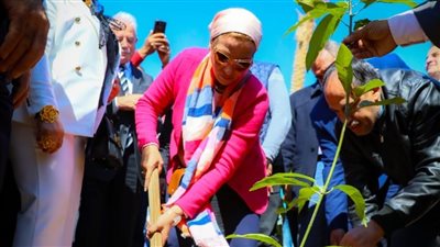 وزيرة البيئة تشارك في حملة «100 مليون شجرة» بطور سيناء (صور)