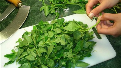 «سنة حلوة» بشرى يحملها تفسير حلم الملوخية الخضراء في المنام