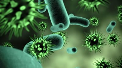 تعرفي على الأعراض وطرق الوقاية من فيروس ماربورج