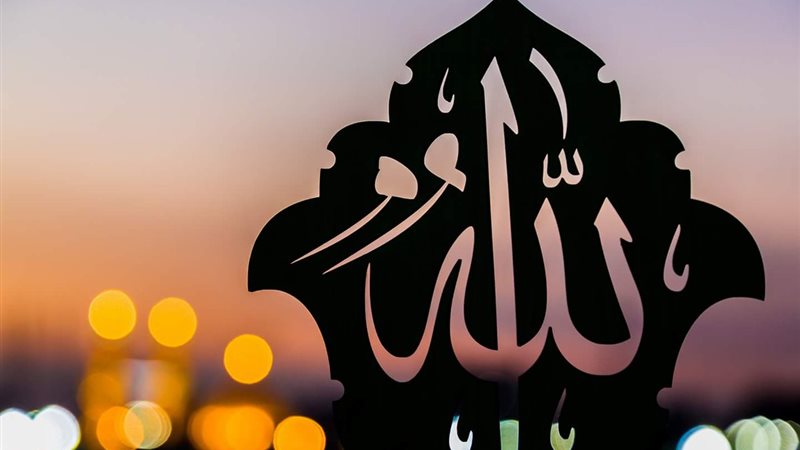 هير نيوز