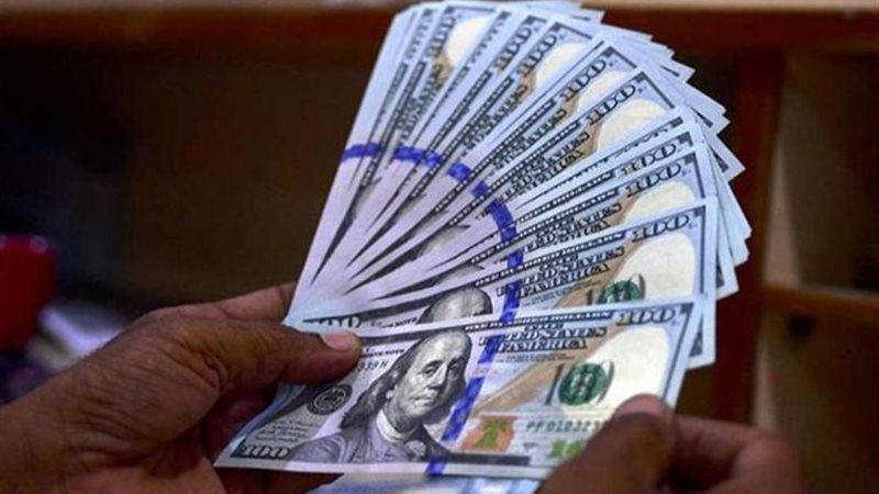 سعر الدولار