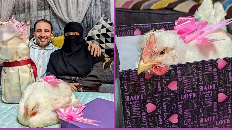 هير نيوز