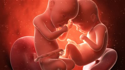 أقصر مدة حمل في التاريخ| طفلان كنديان يدخلان موسوعة «جينيس»