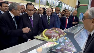 أنباء سارة لـ«ست البيت» عن السلع الغذائية قبل شهر رمضان