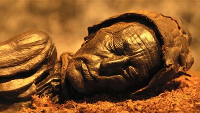 «الابن الحزين» مسن يحتفظ بجثة والدته المتوفاه على الأريكة لمدة 13 عامًا 