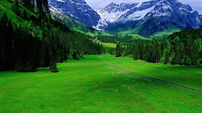 تفسير حلم الأرض الخضراء الكبيرة في المنام وعلاقته بتحقيق أمنياتك