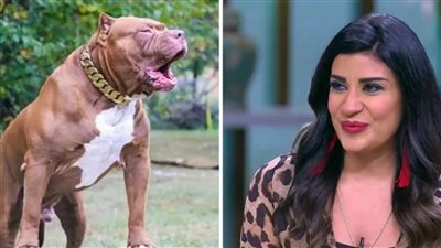 إحالة زوج أميرة شنب للمحاكمة «مفاجأة بالعقوبة المتوقعة بعد وفاة الضحية»