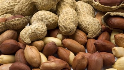 تفسير حلم الفول السوداني في المنام وعلاقته بحياة زوجية سعيدة