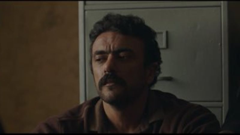 هير نيوز