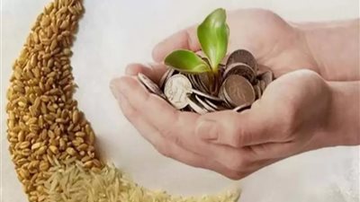 عيد الفطر 2023| كم تبلغ الزكاة لهذا العام؟ «الإفتاء» تعلن الحد الأدنى