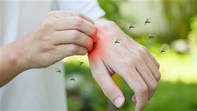 اليوم العالمي لمكافحة الملاريا| ماذا تعرفين عن المرض القاتل وأعراضه؟