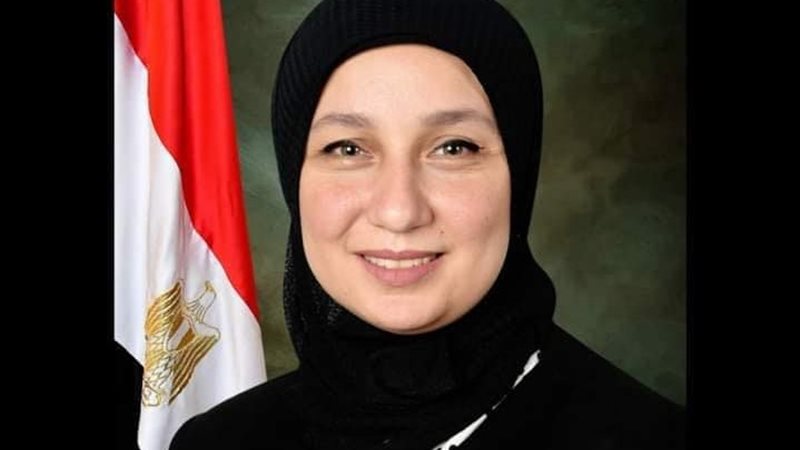 النائبة إيمان الألفي