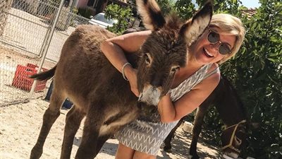 بشرى يحملها تفسير حلم ركوب الحمار في المنام للعزباء والمتزوجة