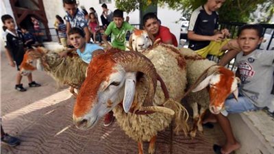 أغرب عادات استقبال عيد الأضحى في الدول العربية والإسلامية