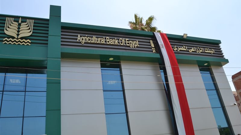 هير نيوز