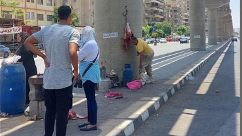 هير نيوز