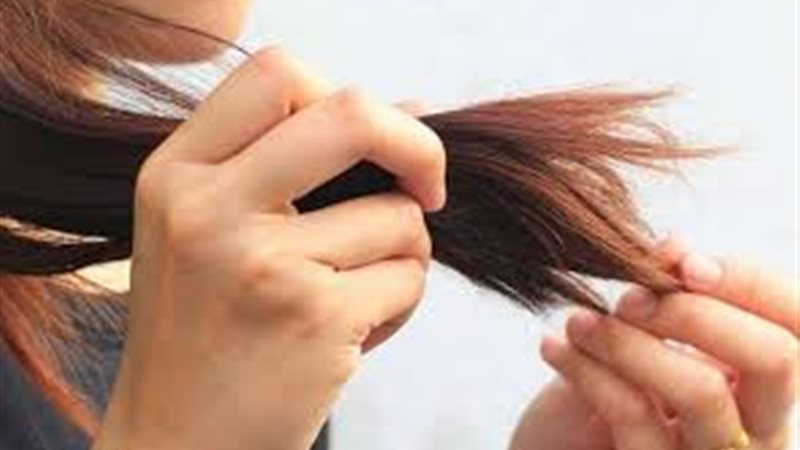 الأطراف المتقصفة