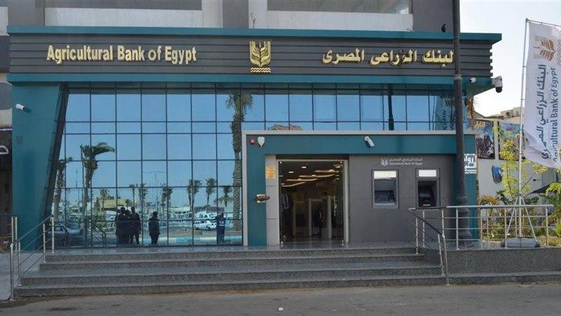 هير نيوز