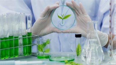 للثانوية العامة 2023| مميزات وفرص العمل لخريجي كلية التكنولوجيا الحيوية