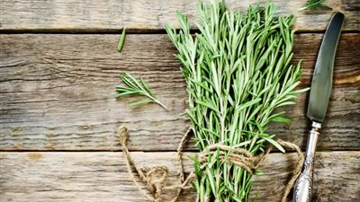  6 فوائد لإكليل الجبل غير الطهي.. وكيف يحمي من الإصابة بالسرطان.. وما هي آثاره الجانبية؟ 